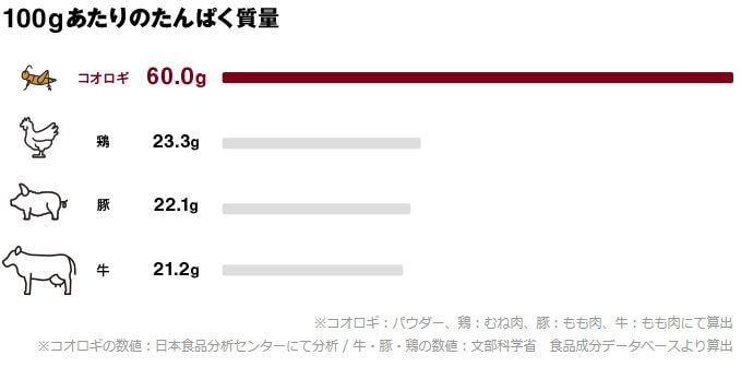 100gあたりのタンパク質量 コオロギ(パウダー):60.0g 鶏(むね肉):23.3g 豚(もも肉):22.1g 牛(もも肉)):21.2g